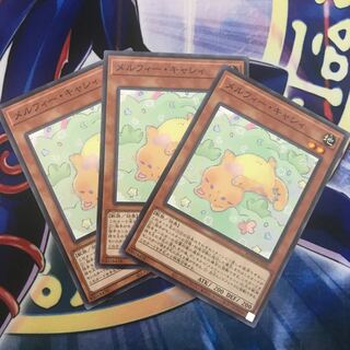 メルフィー・キャシィ