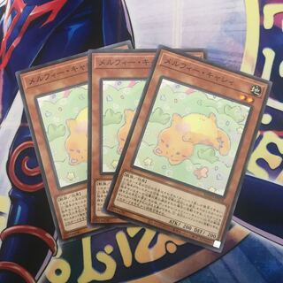 メルフィー・キャシィ