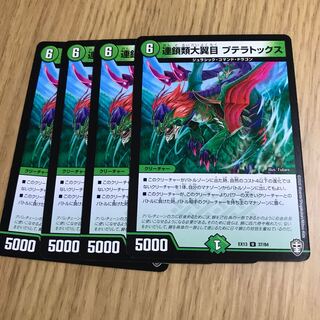 連鎖類大翼目 プテラトックス②