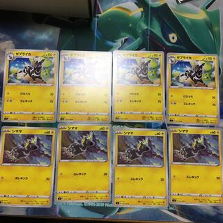 シママ ゼブライカ