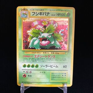 旧裏　フシギバナ_「とりかえっこプリーズ」 キャンペーンカード PROMO フシギバナ とりかえっこプリーズ 旧裏」の激安通販 | magi