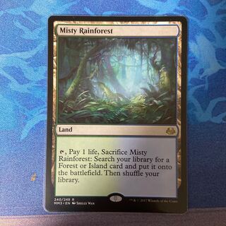 霧深い雨林 レア