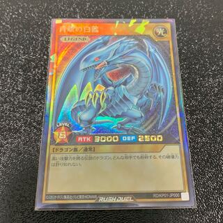青木様専用 美品 ラッシュレア 青眼の白竜