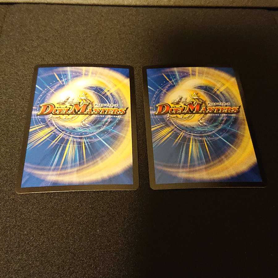 復讐 チェーンソー SR S6/S10 [259]