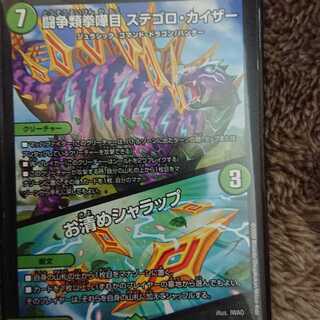 闘争類拳嘩目 ステゴロ・カイザー｜お清めシャラップ