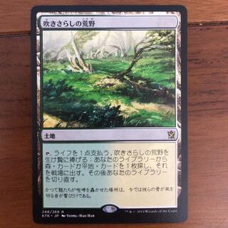 吹きさらしの荒野