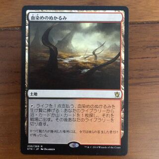 血染めのぬかるみ