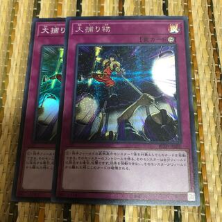 専用大捕り物　シークレット他