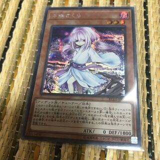 マドレース 浮幽さくら(海外版イラスト) シークレットレア