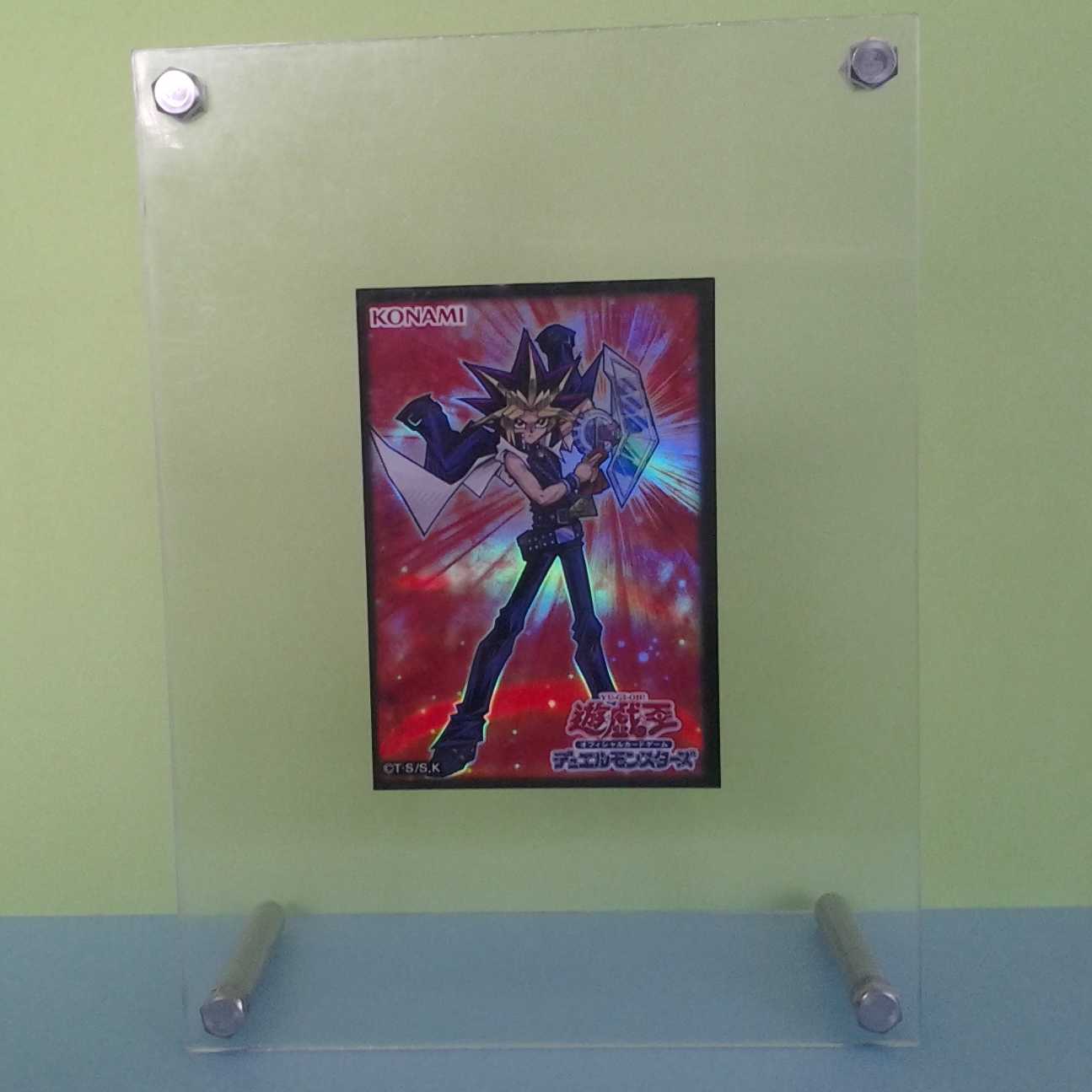 Vylon Ohm 2 Trekker Case (with photo stand)