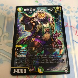 我怒の鎖 パンサーベア SR