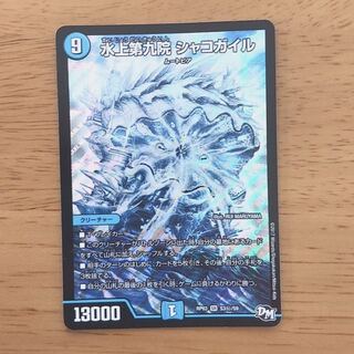 水上第九院 シャコガイル シク