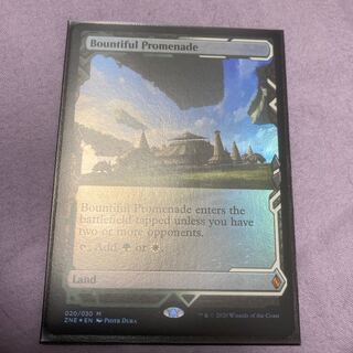 豪勢な大通り　英　foil ボックストッパー