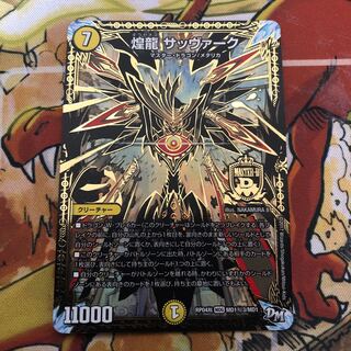 煌龍 サッヴァーク SE