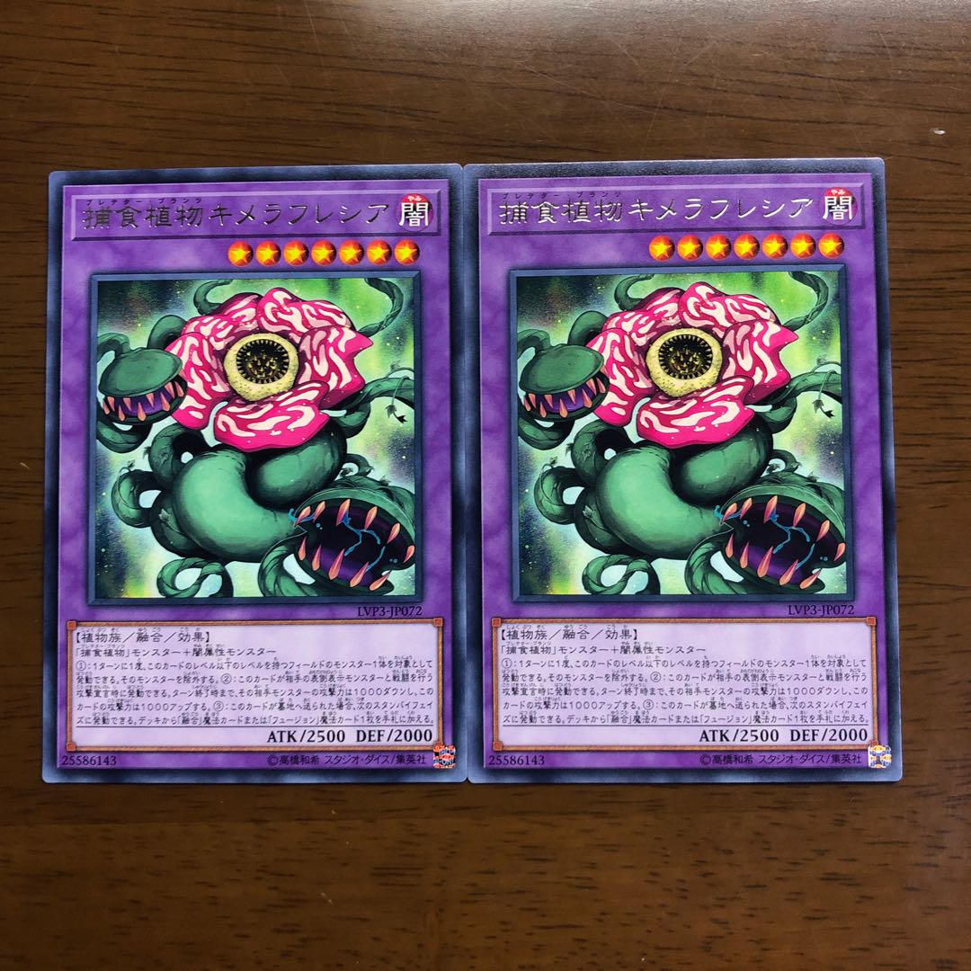 捕食植物キメラフレシア レア 2枚
