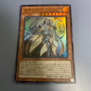 教導の騎士フルルドリス　1枚