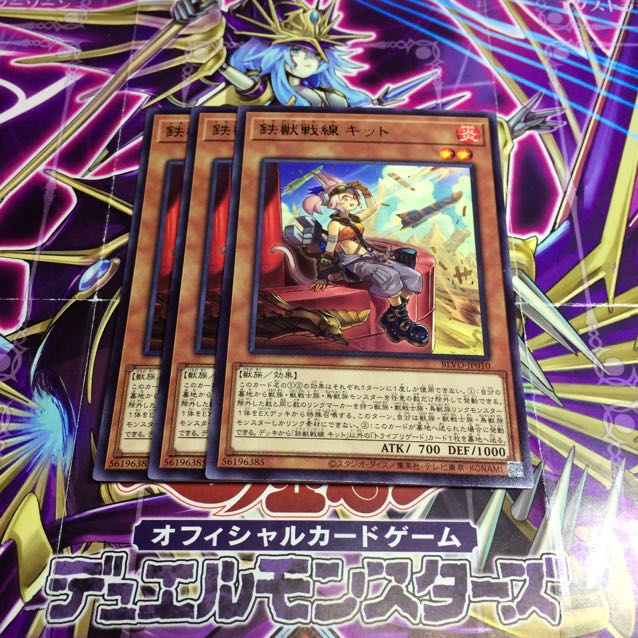 鉄獣戦線キット【R】