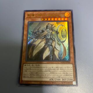 教導の騎士フルルドリス　1枚