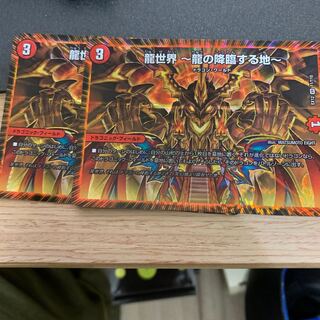 龍世界 -龍の降臨する地- VR ２枚