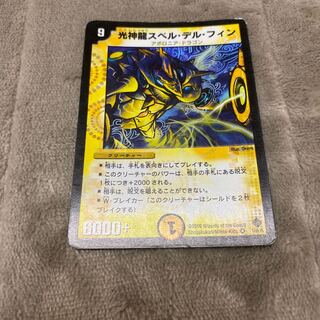 スペルデルフィン