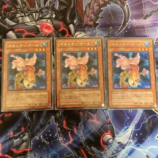 ※最終価格『ボタニティ・ガール』《R レア ×3枚》［SAT］