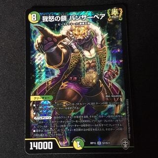 我怒の鎖 パンサーベア SR