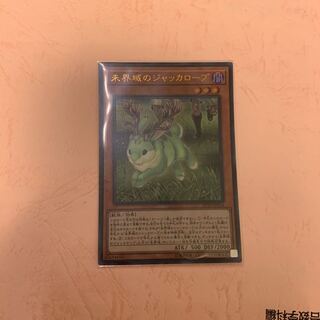 未界域のジャッカロープ