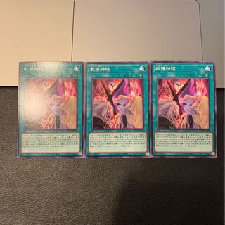 教導神理 ノーマル