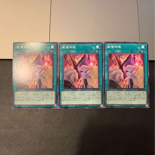 教導神理 ノーマル