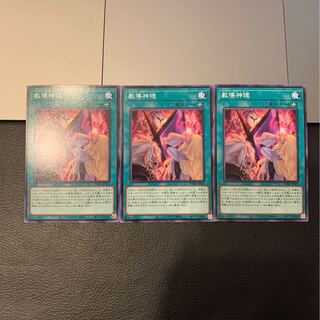 教導神理 ノーマル