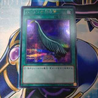 ハーピィの羽根帚 シークレットレア