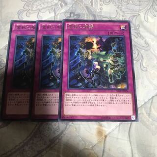 霊獣の騎襲 レア　3枚　ザ・シークレットエボリューション　