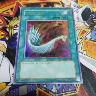 ハーピィの羽根帚 ウルトラレア 韓国版 遊戯王 虎ふぐ