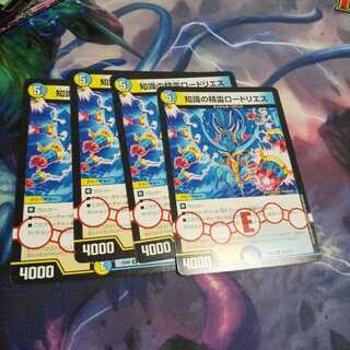 知識の精霊ロードリエス R