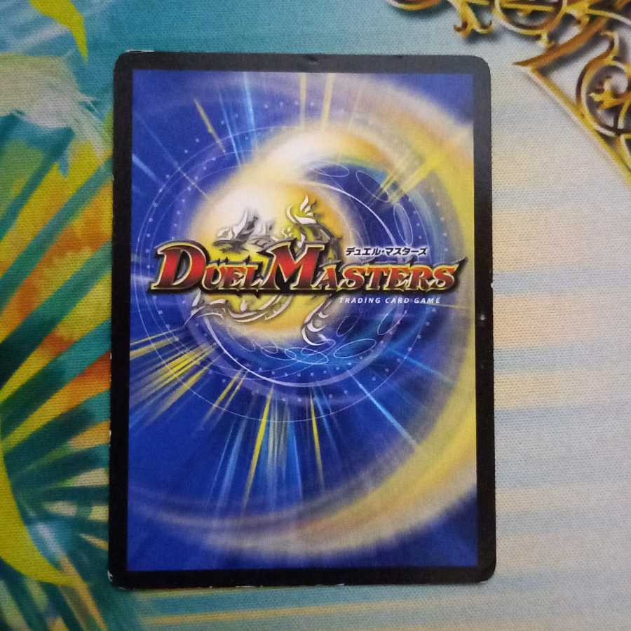 確認用 Ayasa様専用 購入不可