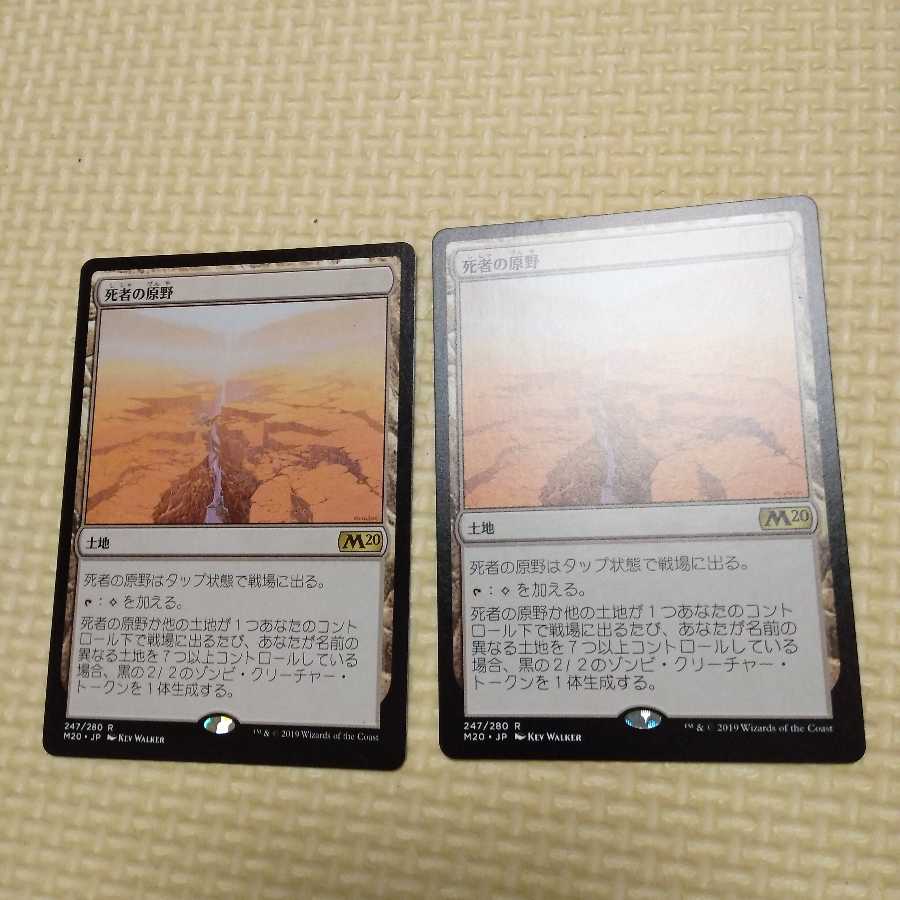 【みたらし様専用】死者の原野　4枚