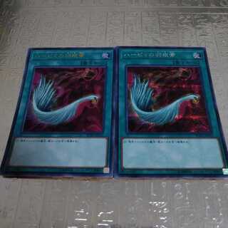 ハーピィの羽根帚 シークレットレア