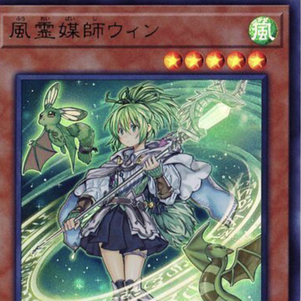 風霊媒師ウィン