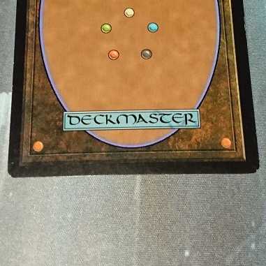 【MTG】難題の予見者　英語Foil