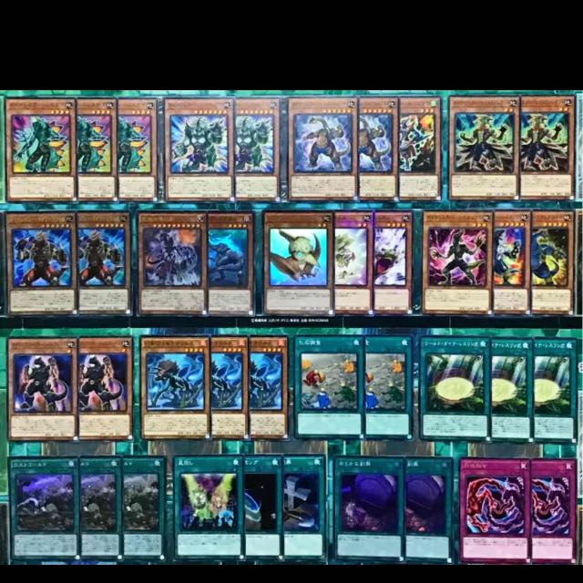 遊戯王 ダイナレスラー  デッキ 本格構築