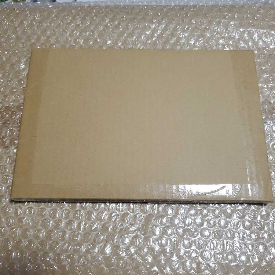 Dian Keto the Cure Master Snubbull Secret Integrity Unopened