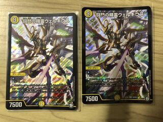 闘門の精霊ウェルキウス