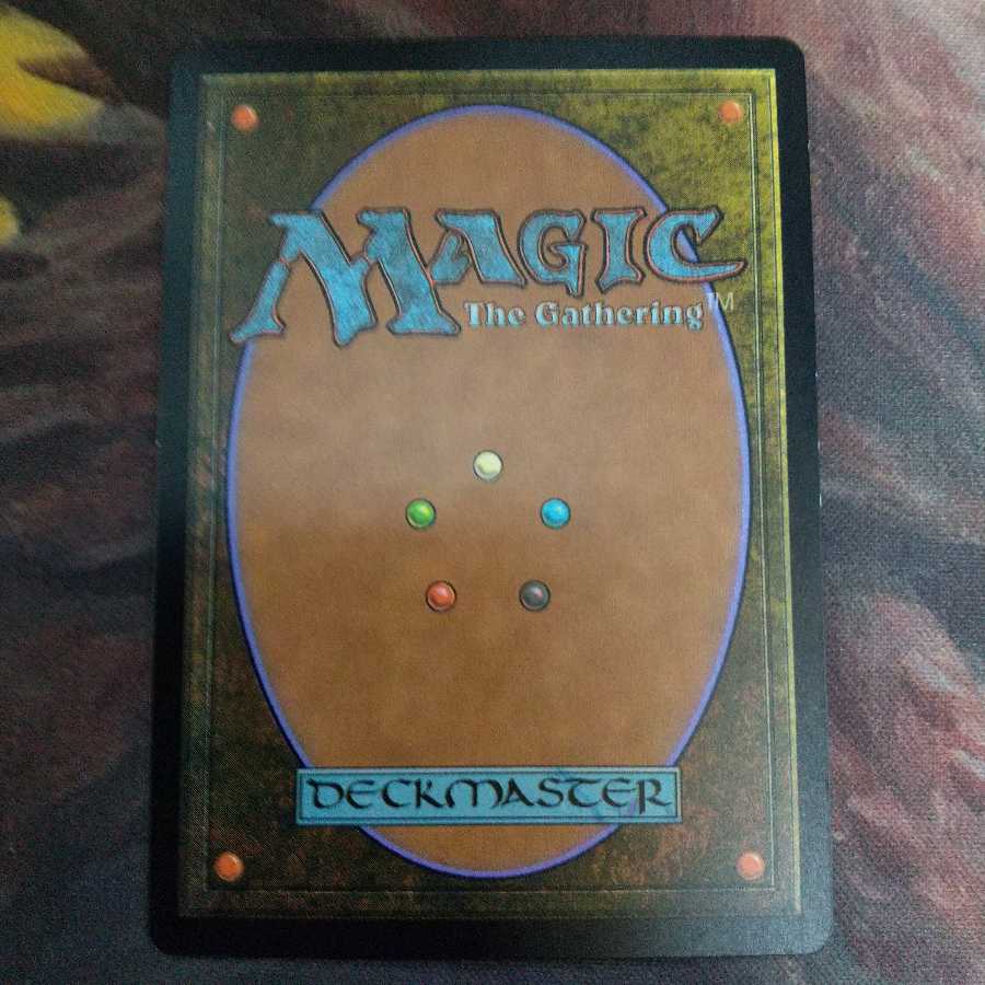 汚染された三角州　日　KTK