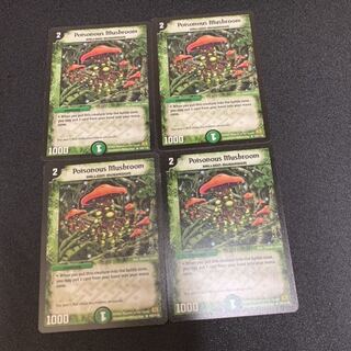 シビレアシダケ 英語版