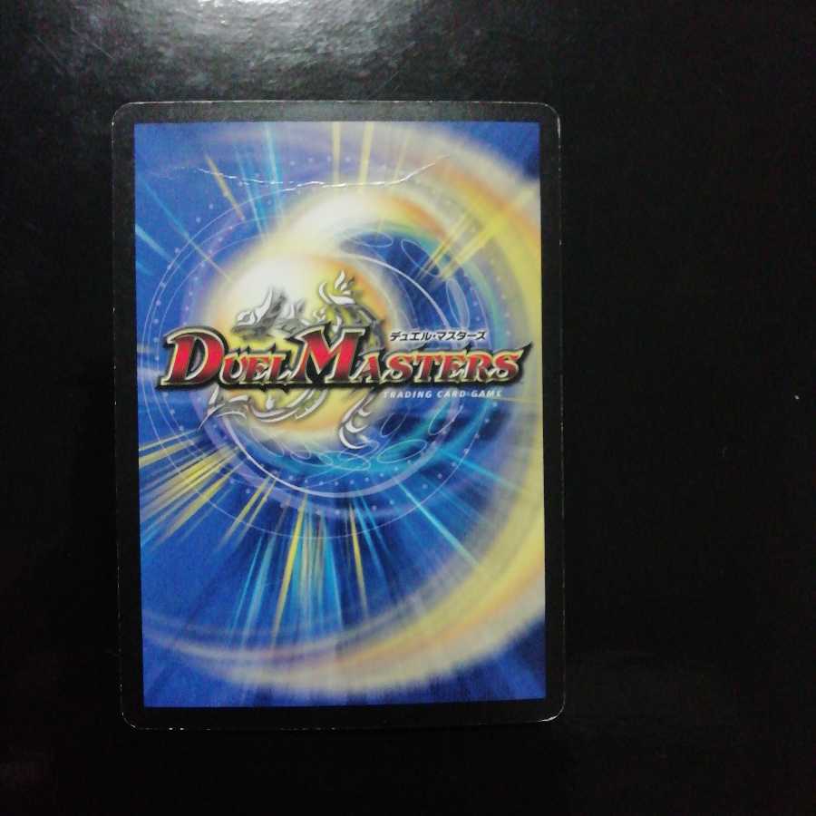 クリスタル・パラディン(折れあり)