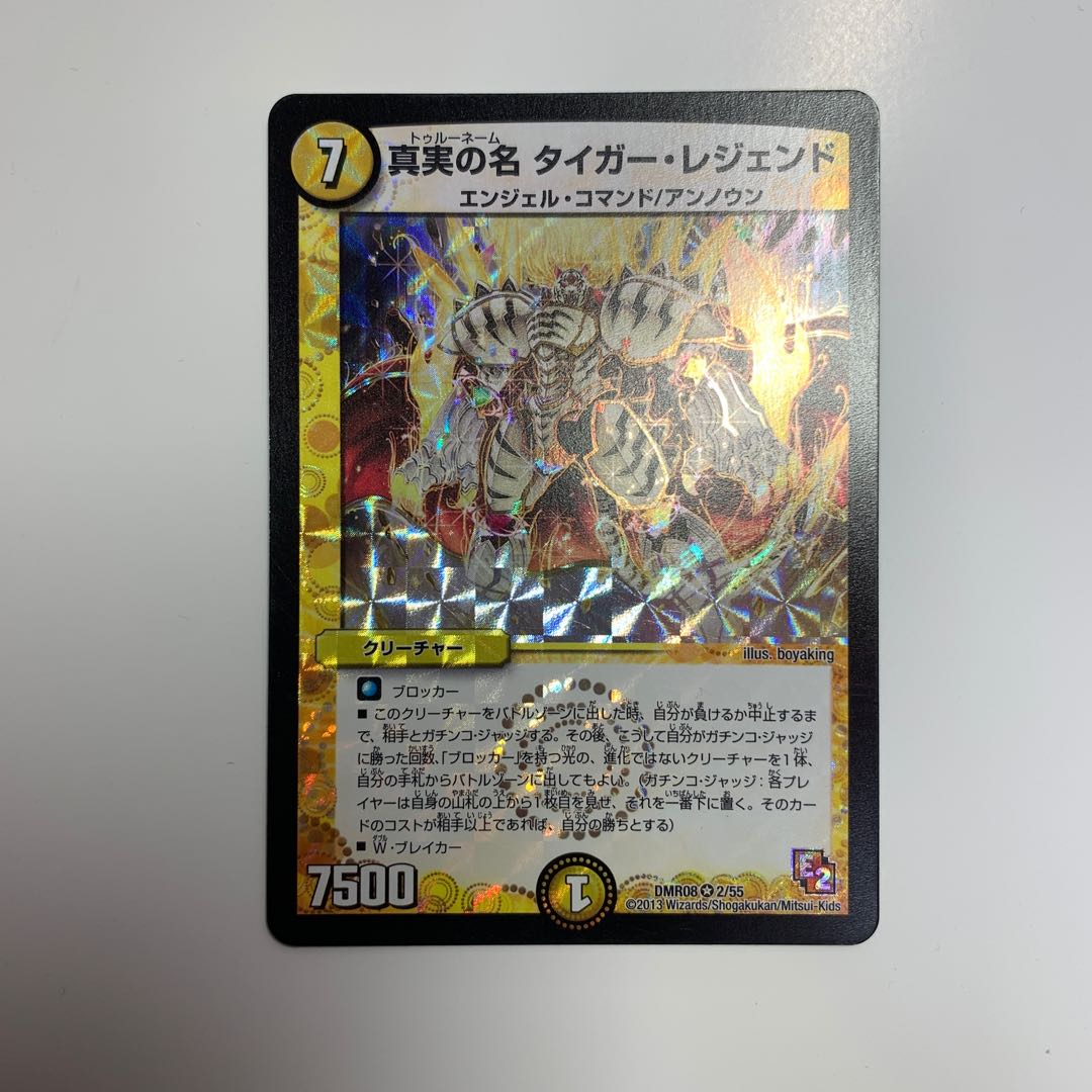 真実の名 タイガー・レジェンド