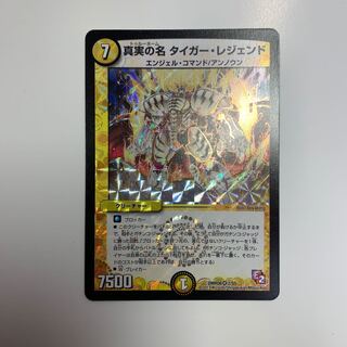 真実の名 タイガー・レジェンド