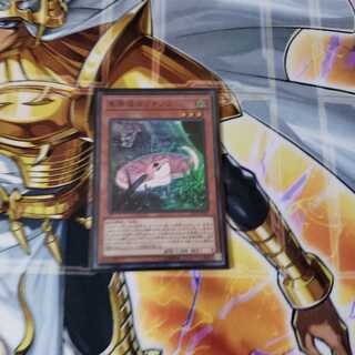 未開域のツチノコ スーパーレア