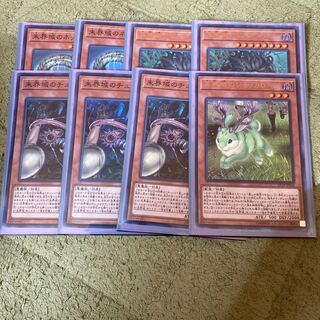 遊戯王　未界域　セット