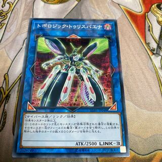 ◉トポロジック・トゥリスバエナ パラレル ノーマル